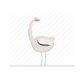 swan, animal, bird, nature, wildlife