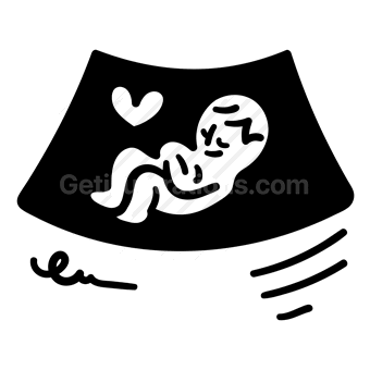 pregnancy, ultrasound, fetus, maternity, Vector illustration