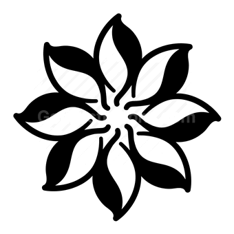 geometric flower, symmetrical, black and white, abstract nature, simple