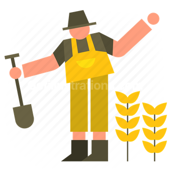 shovel, gardening, farm, farming, grains, wheat