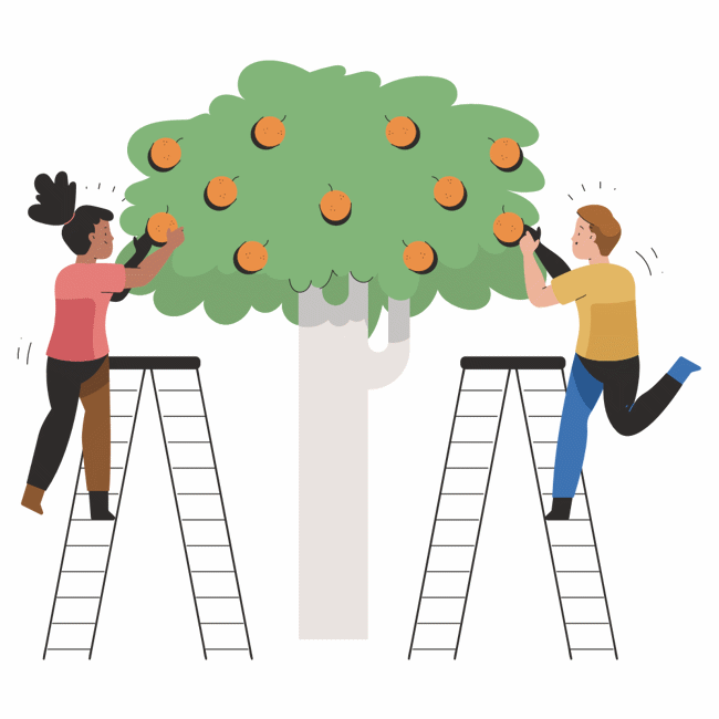 equality, gender, ladder, man, woman, fruit, plant, tree, person, character, people