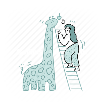 woman, height, giraffe, animal, wildlife, ladder