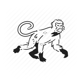 angry, furious, monkey, chimpanzee, gesture