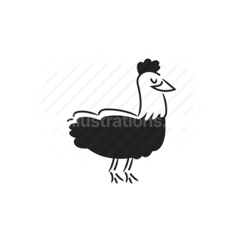 animal, bird, ostrich, feathers, vector illustration