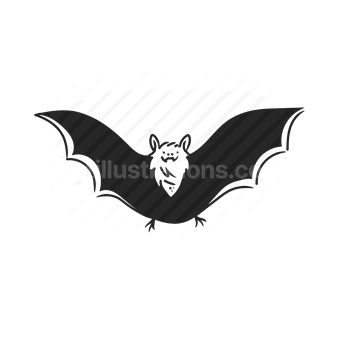 bat, flying mammal, nocturnal animal, halloween
