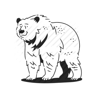 bear, wildlife, nature, animal, Vector illustration