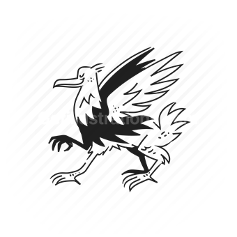 bird, crow, dark, mysterious, silhouette