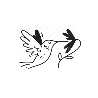 bird, hummingbird, nature, animal, Vector illustration
