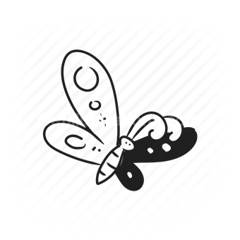 butterfly, insect, nature