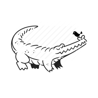 crocodile, predator, reptile, wildlife