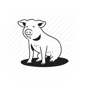 pig, farm animal, cute, livestock