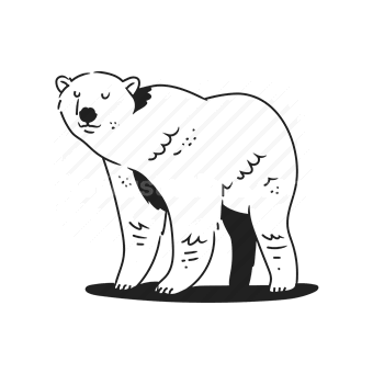 polar bear, arctic animal, wildlife, animal illustration