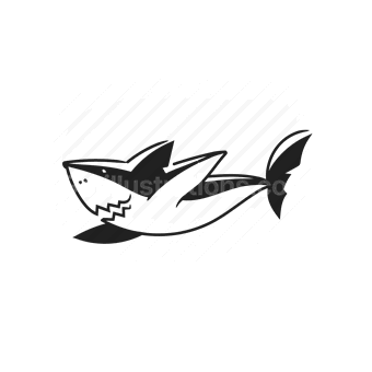 shark, ocean, sea life, predator