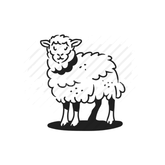 sheep, farm animal, woolly, livestock