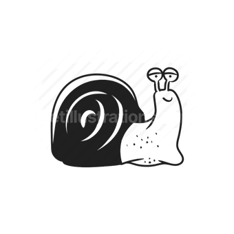 snail, animal, nature