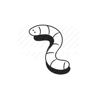 snake, reptile, coil, monochrome