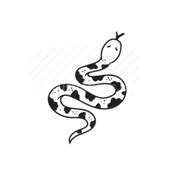 snake, reptile, sinuous, nature