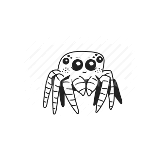 spider, insect, animal, creepy