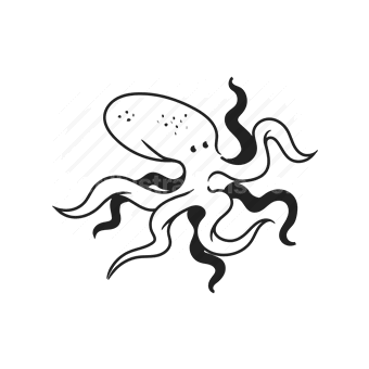 squid, sea creature, tentacles, underwater