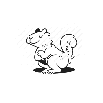 squirrel, nut, nature, animal