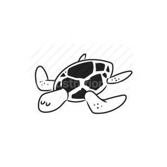 turtle, sea creature, underwater, wildlife