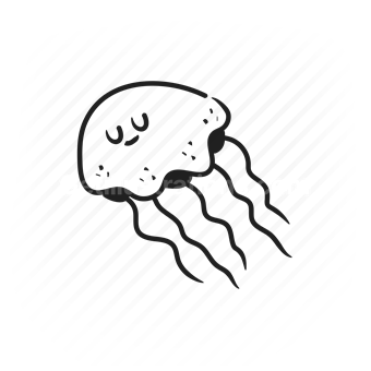 jellyfish, marine life, sea creature, ocean