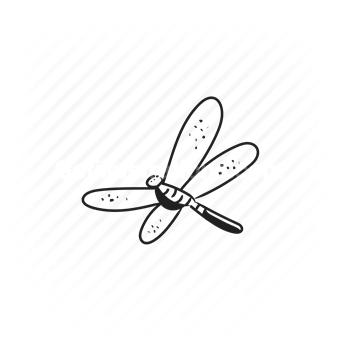 nature, insect, dragonfly, wildlife