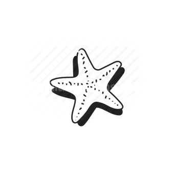 sea star, starfish, ocean creature, vector illustration
