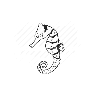 seahorse, marine life, underwater, ocean