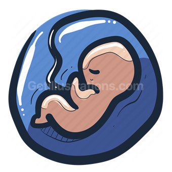 baby, infant, pregnancy, pregnant, reproduction, conceive
